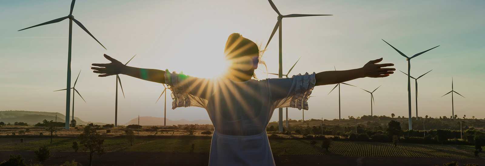 Yenilenebilir Enerji Verileri