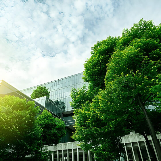 Baslangic Yetkilendirme